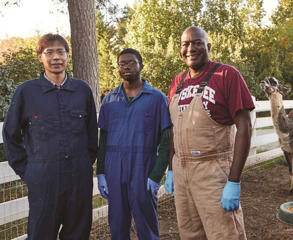 A diverse group of male veterinary technicians stand in a paddock with some animals